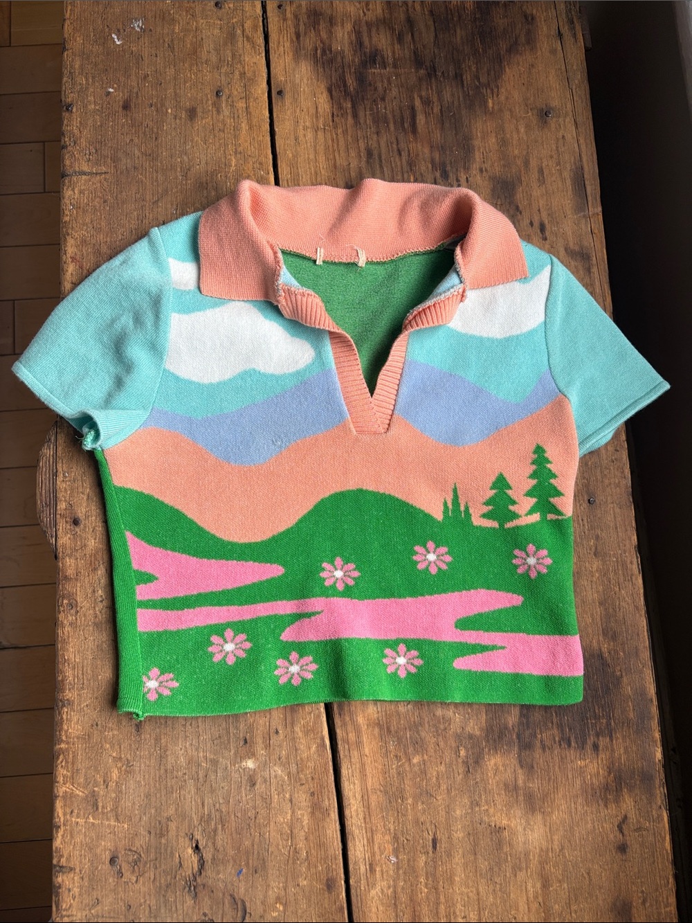 House of Sunny Inspired Shirt
